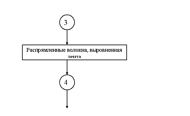 Технология прядильного производства Технология прядильного производства